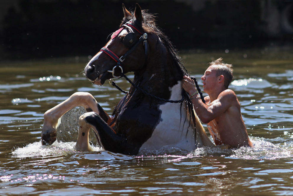 фото из интернета