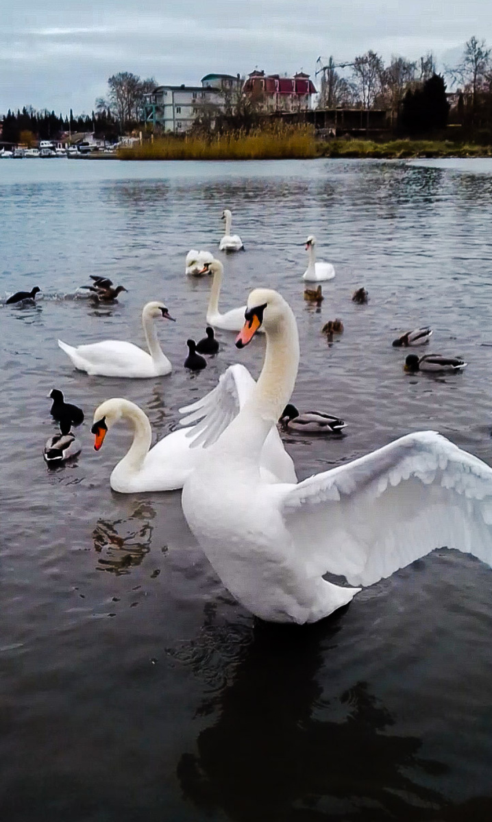 Бухта Омега. Севастополь 