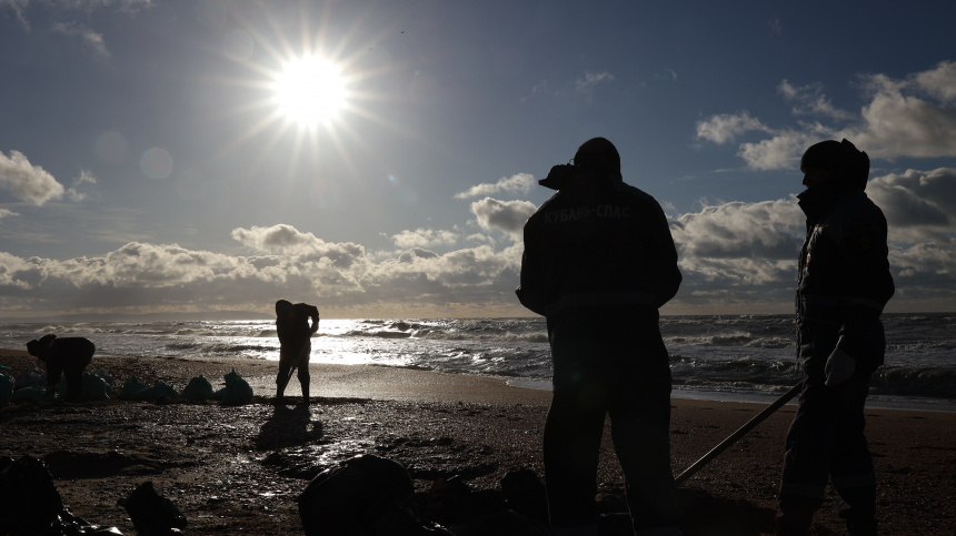    Фото: © РИА Новости/Виталий Тимкив; 5-tv.ru