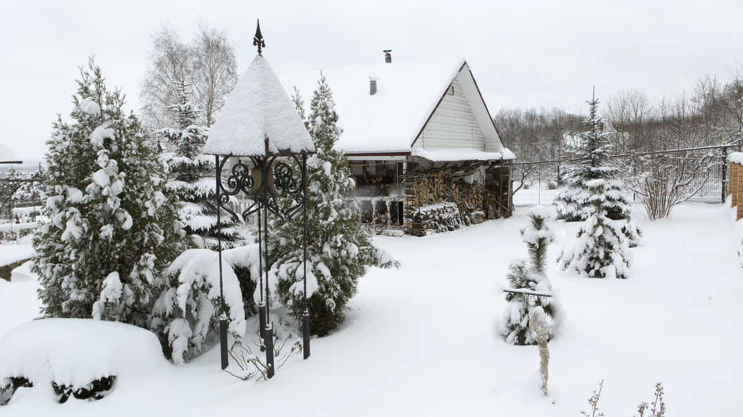    © Nikolay Gyngazov/Globallookpress