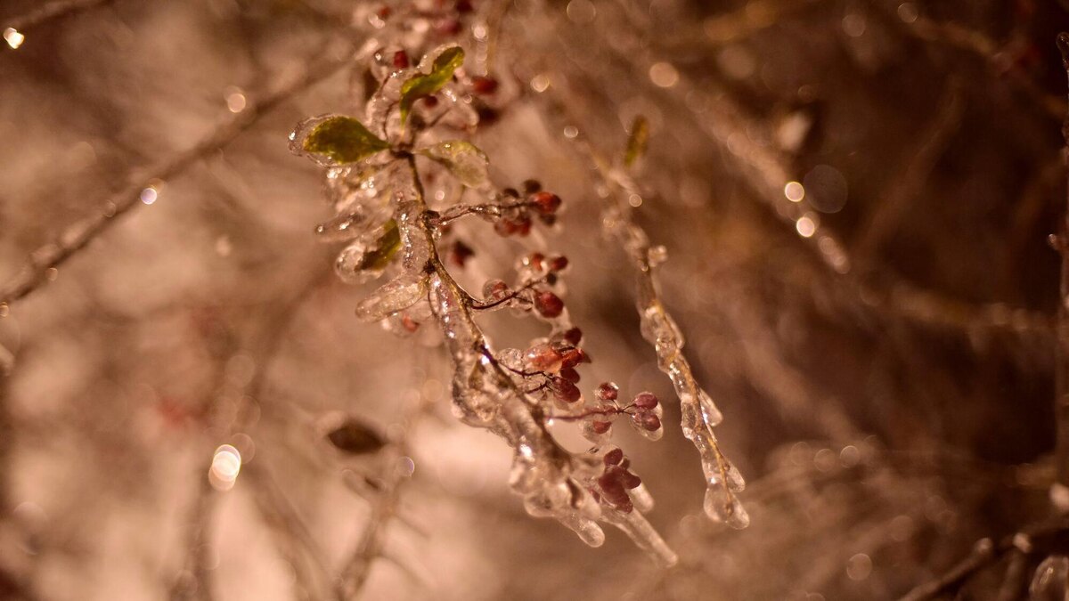    Фото: ZURABJAVAKHADZE.COM/Зураб Джавахадзе