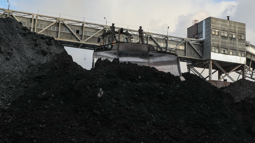    Фото: Bulkin Sergey/Globallookpress