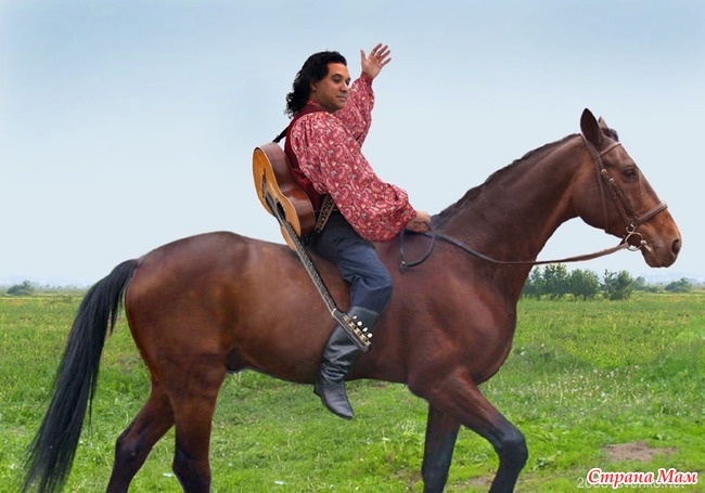 Любим лошадей!