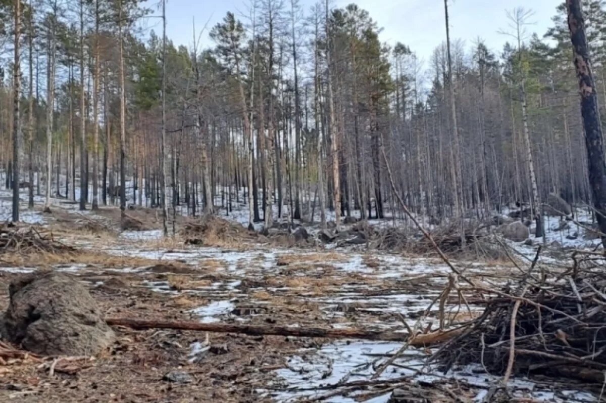    Фотоловушки установят для борьбы со стихийными свалками в Забайкалье