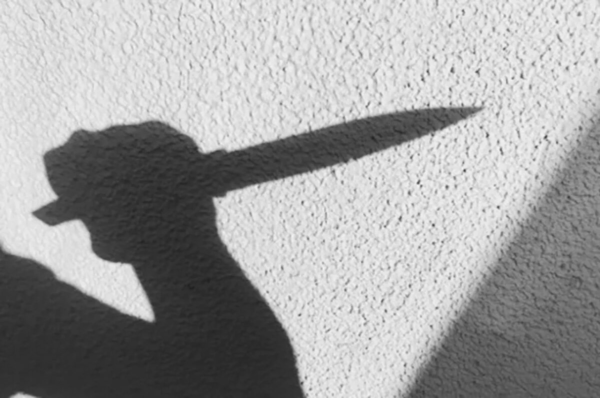    В Самаре вынесен приговор по делу о кровавой разборке родни из-за квартиры