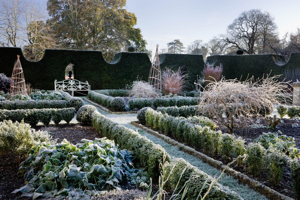 Хайгроув зимой