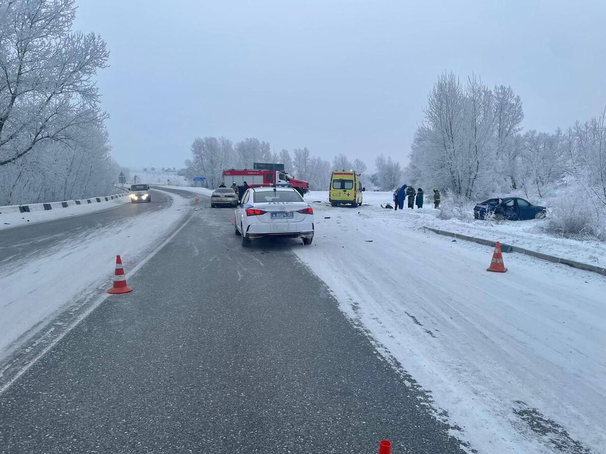    Фото: МВД по Красноярскому краю