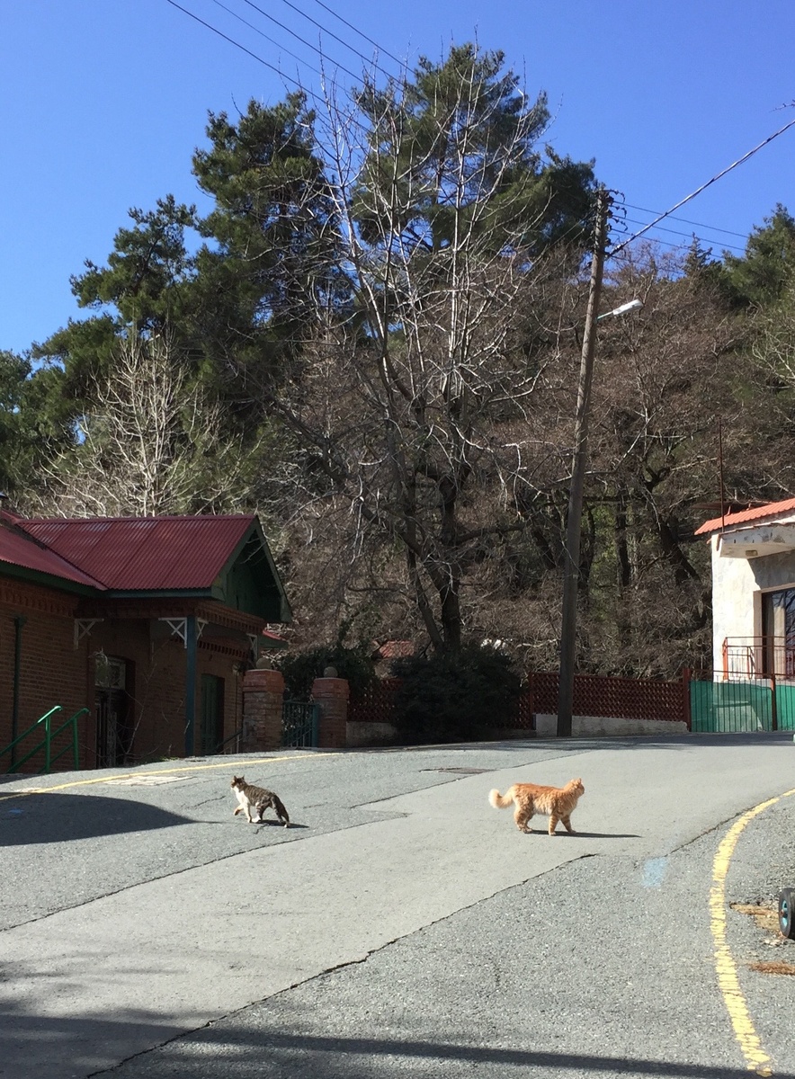Кипр. Во время этой поездки я приняла решение оставить работу в офисе.