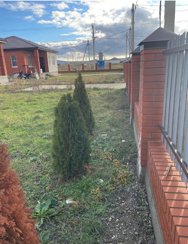 Фотот автора 19.12.2024