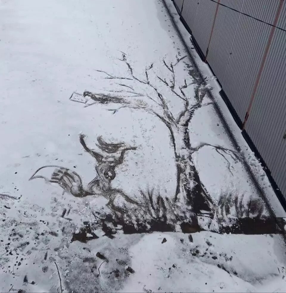     Источник: vc.kom/Ижевск с огоньком