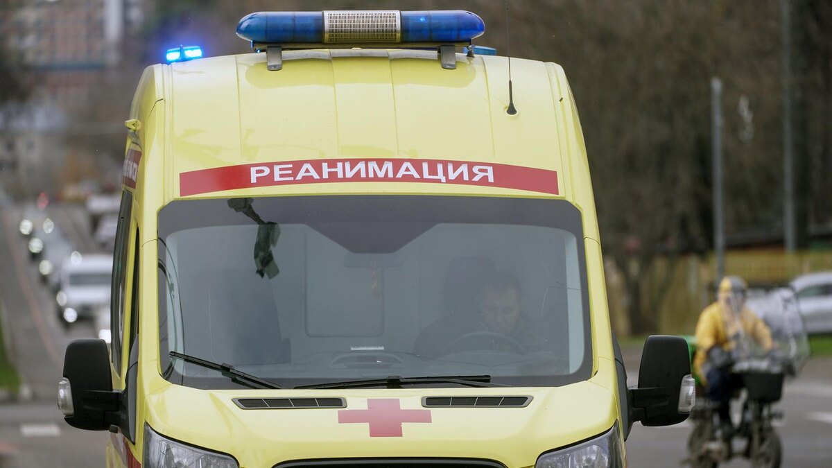    Фото: ИЗВЕСТИЯ/Эдуард Корниенко