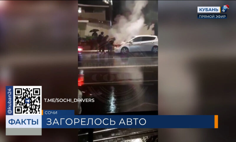    Фото t.me/sochi_drivers