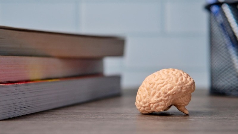 Фото: @mohdizzuanbinroslan / freepik.com