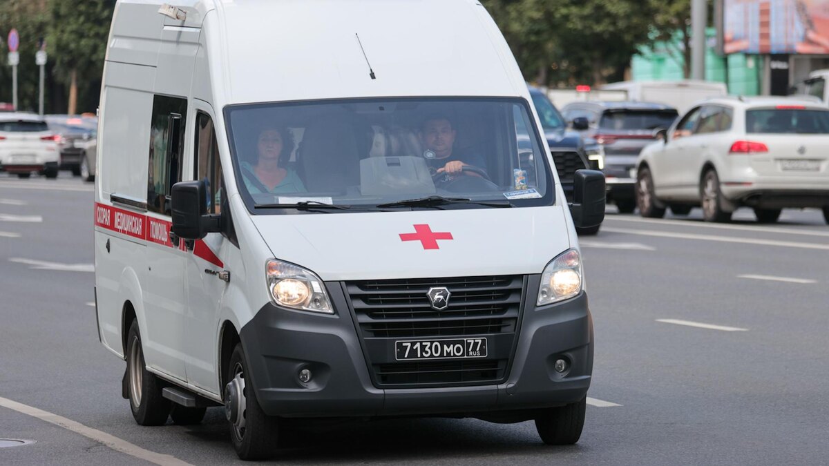    Фото: Belkin Alexey/globallookpress.com