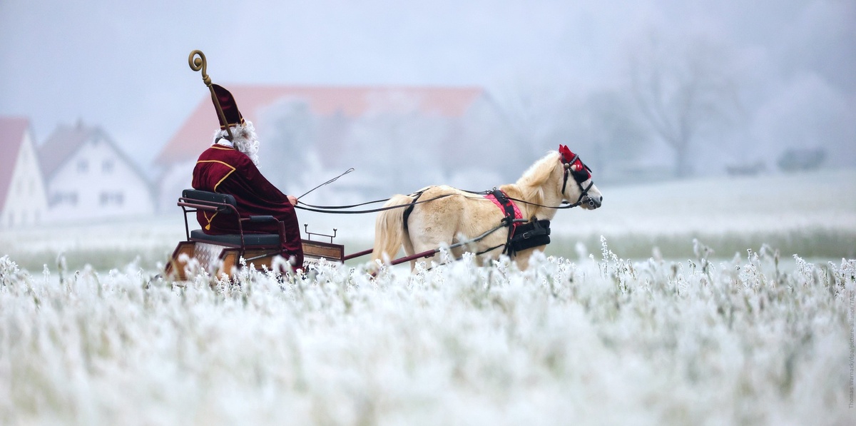 Фото: Thomas Warnack/dpa/picture-alliance/TASS