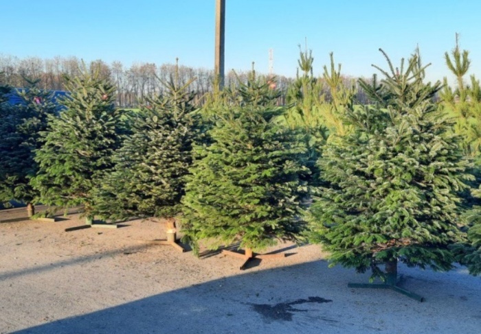    администрация Краснодарского края