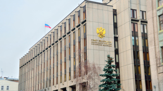    Комитет Совфеда поддержал ужесточение наказания за вооруженный мятеж Ирина Петрова