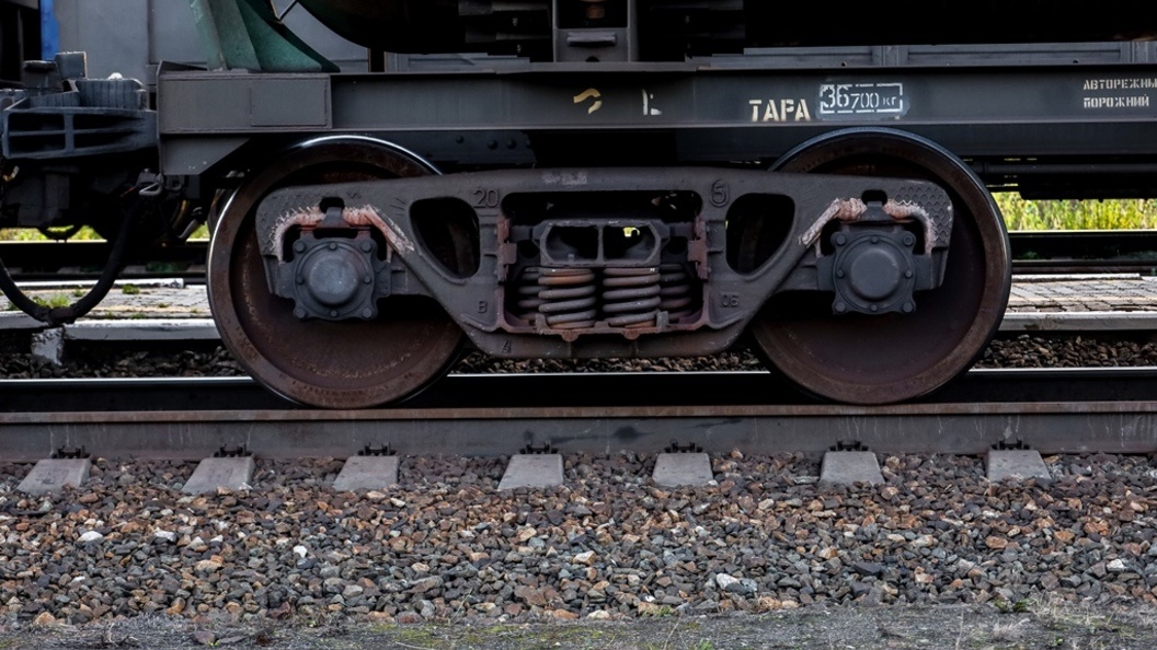    Фото: Elena Mayorova/Globallookpress