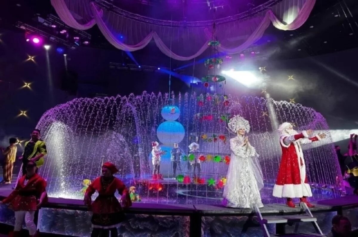    Манеж цирка превратится в «Волшебный колодец»