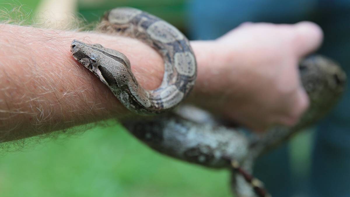    Фото: Василий Кузьмиченок / АГН Москва