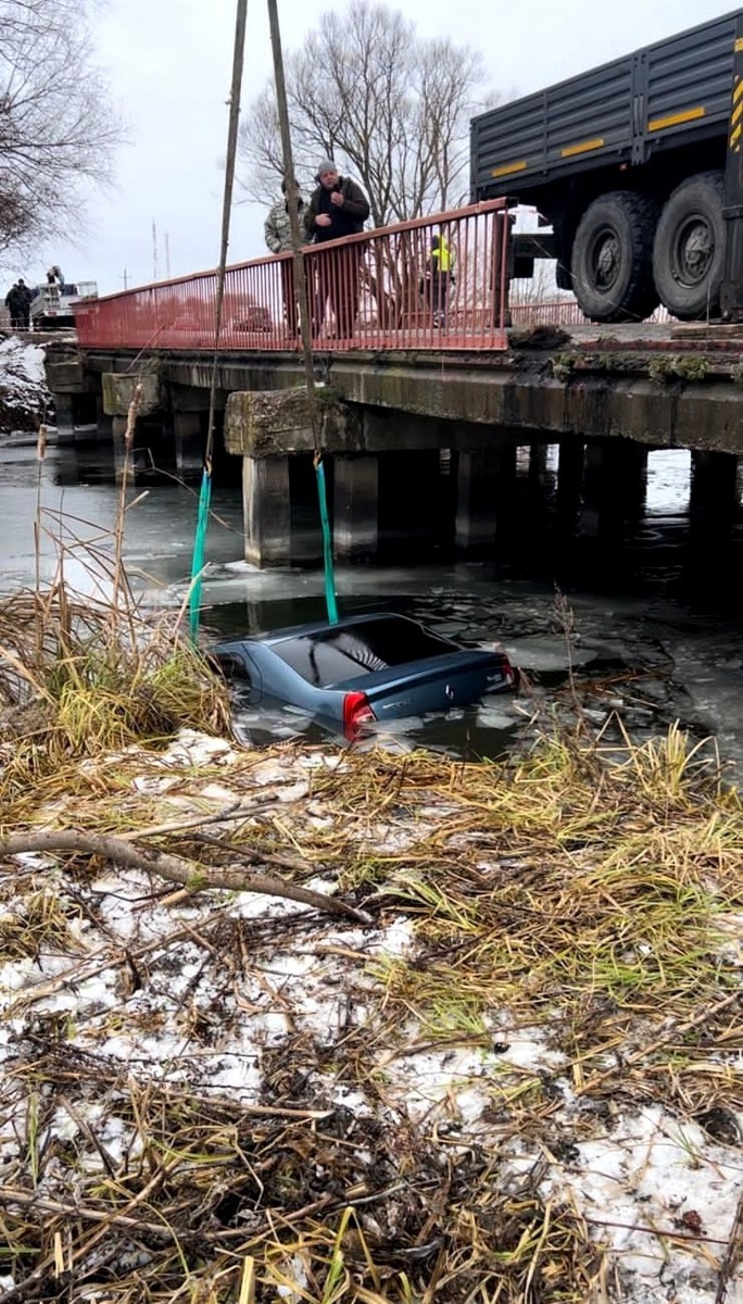 Фото: АСС Курской области