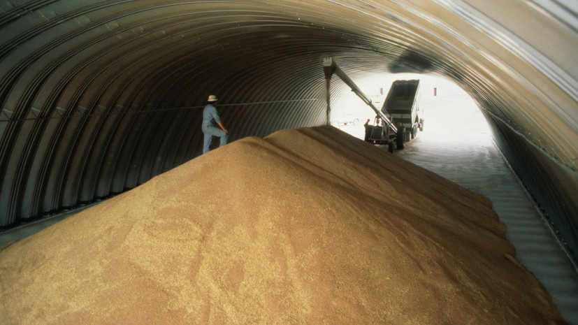   Gettyimages.ru Andy Sacks