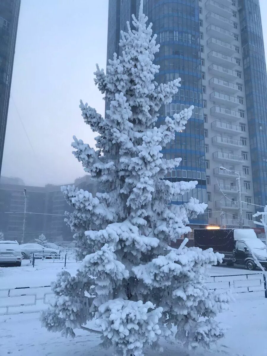     Источник: t.me/history_krsk