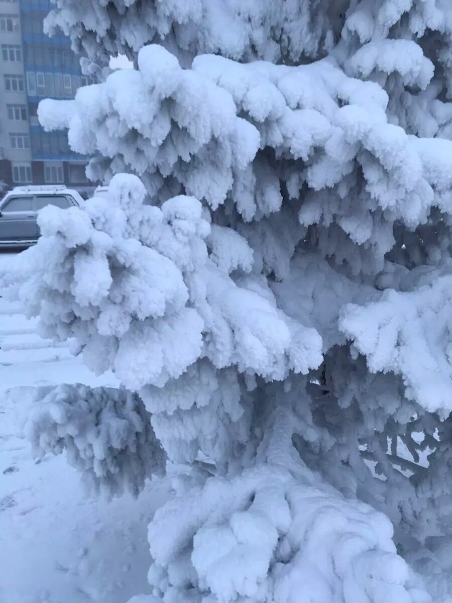     Источник: t.me/history_krsk