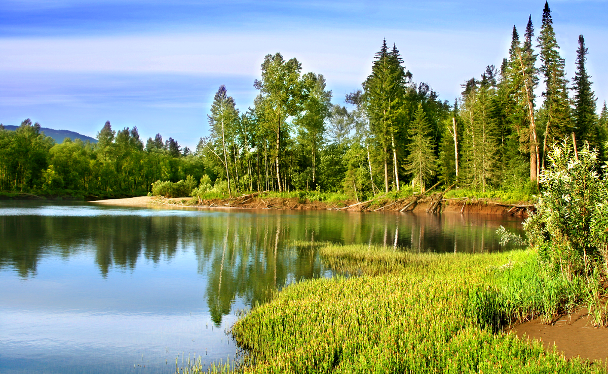 Фотография, стихотворение Василия Глуцкого