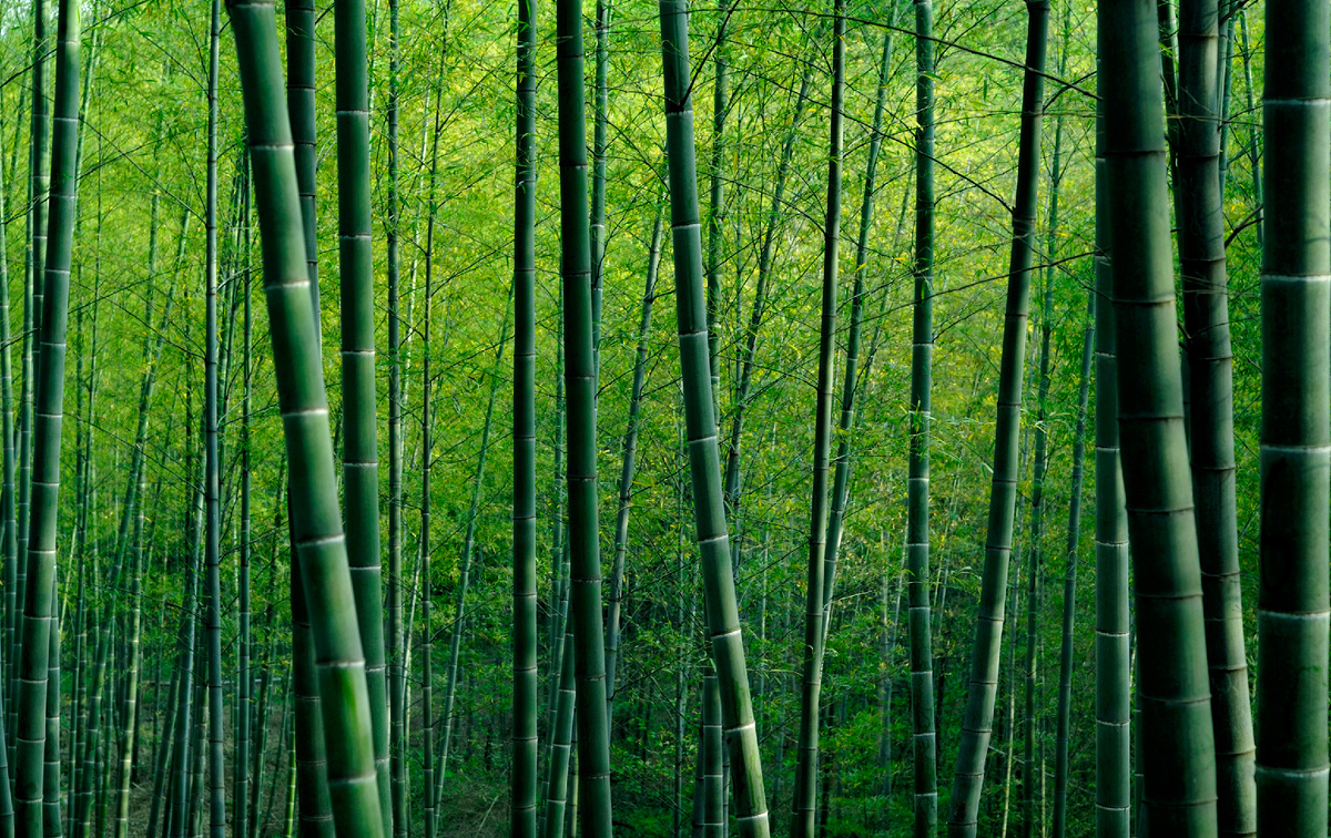Фото: freepik.com/@rawpixel.com