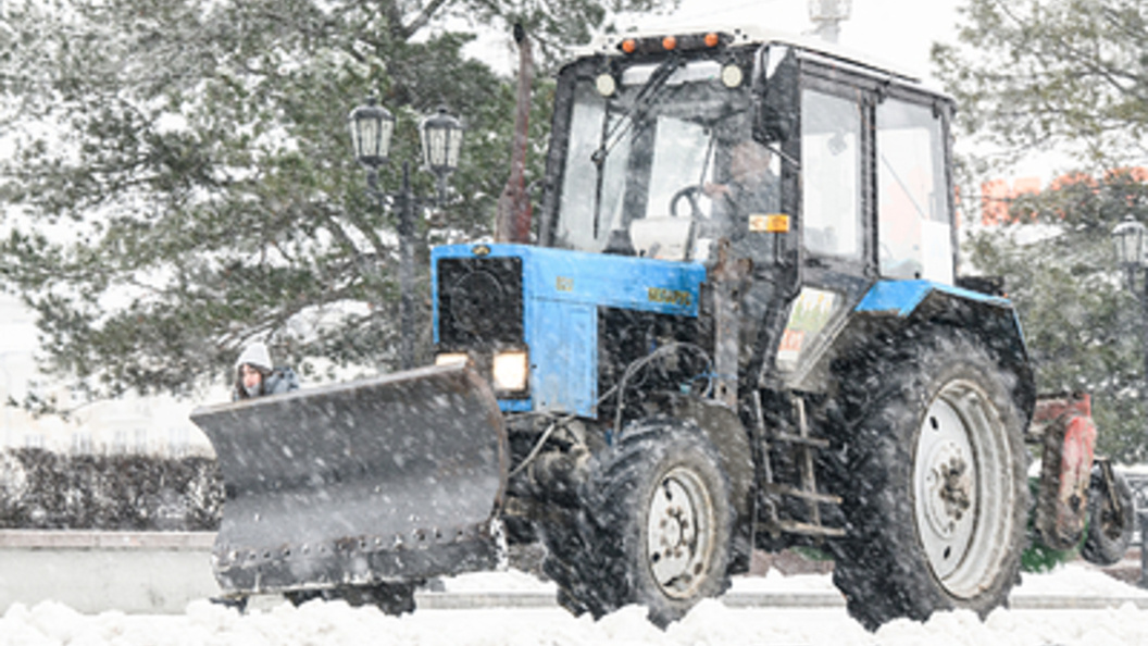   Фото: Илья Московец/Globallookpress.