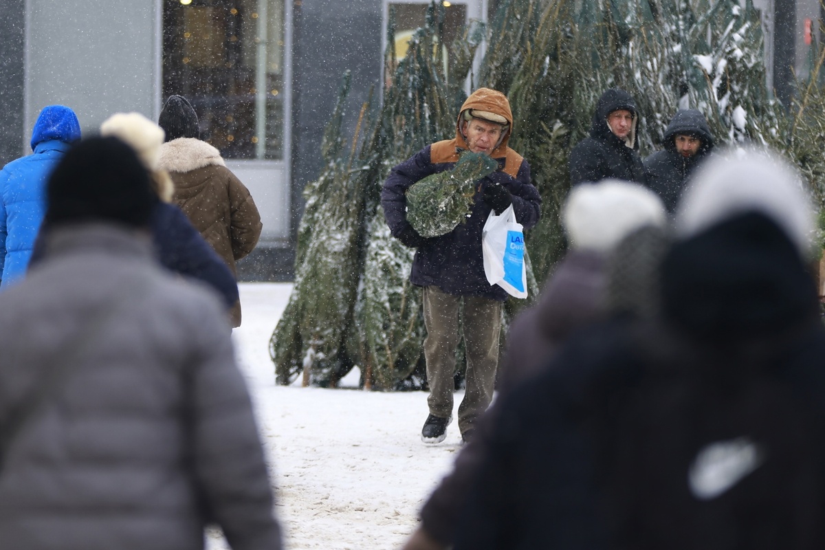 Автор фото: Павел Хацаюк / ИД «Вечерняя Казань»