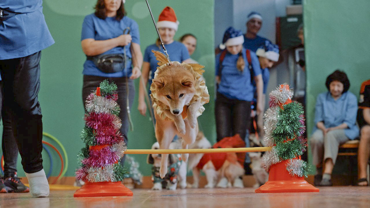 Фото: пресс-служба БрАЗа