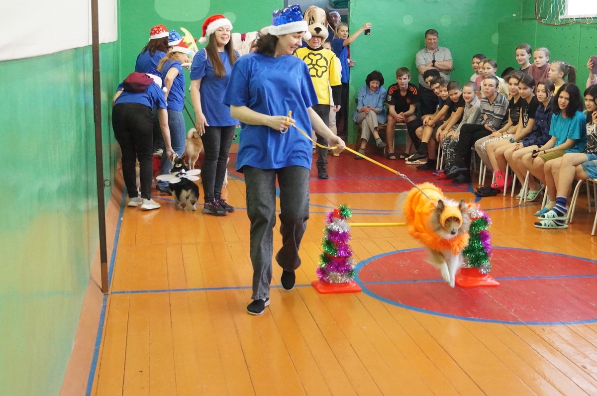 Фото: пресс-служба БрАЗа