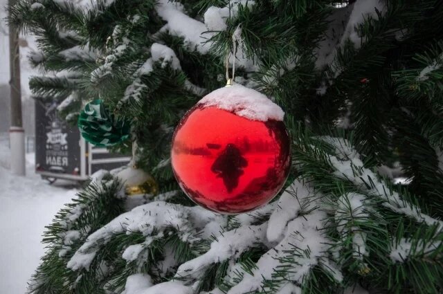    Как юным тулякам поучаствовать в «Ёлке желаний»?