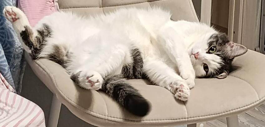 Фото Ирины Никитиной.