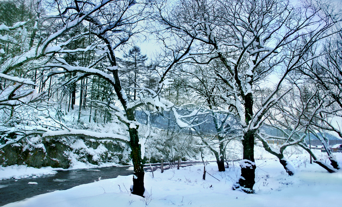 Фотография, стихотворение Василия Глуцкого