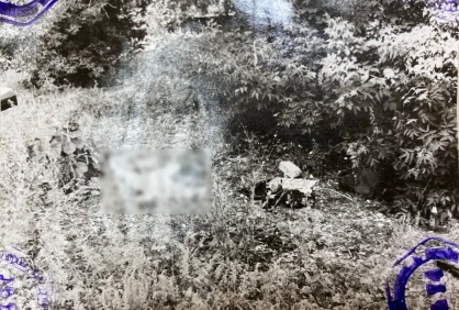    Скрывался с 1998 года. Полиция Оренбурга задержала убийцу 19-летней девушки Кристина Просвиркина