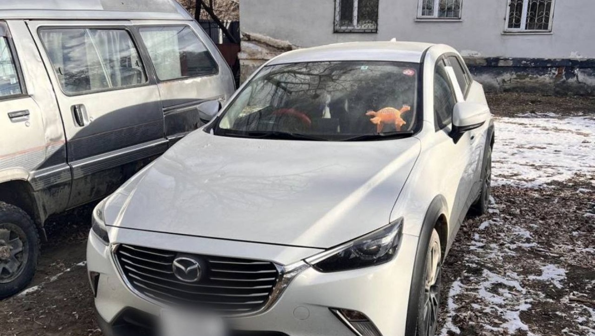     Источник: prosecutor_pk