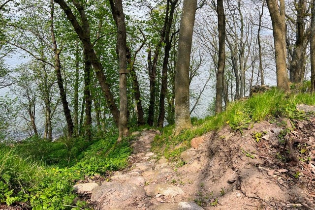   Фото из архива Калининград.Ru