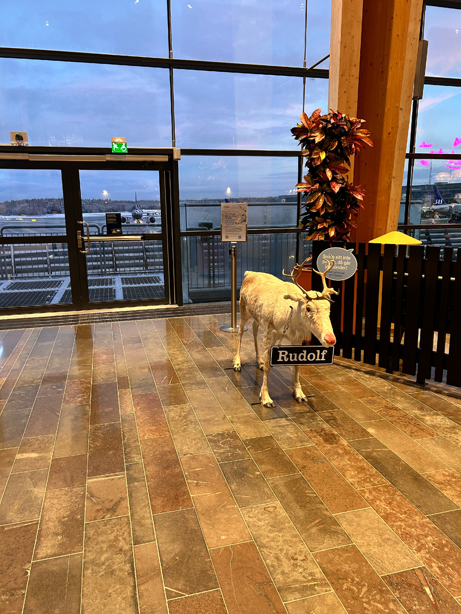 Рождественский олень провожал нас в аэропорту 