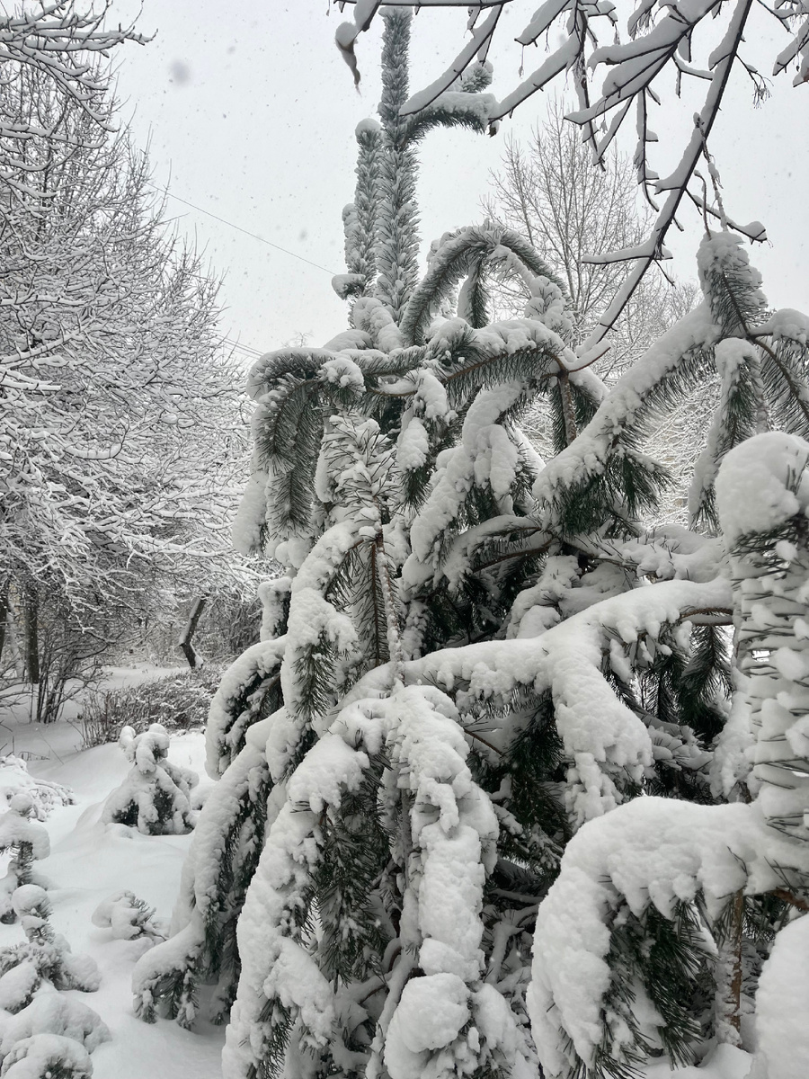 Разбавлю текст красивой картинкой