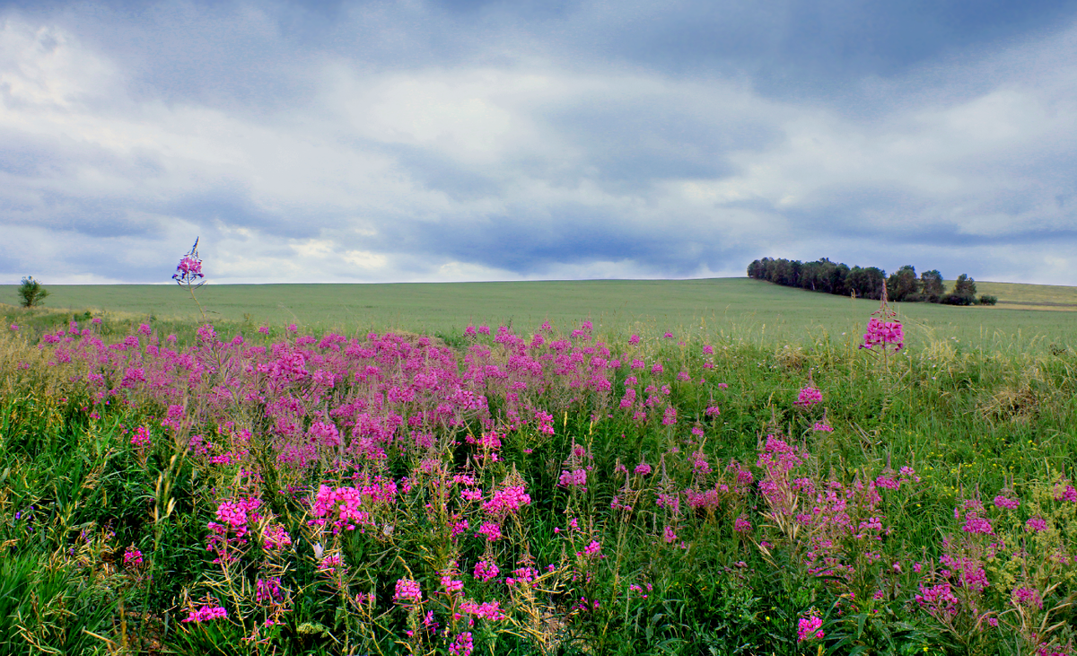 Фотография, стихотворение Василия Глуцкого