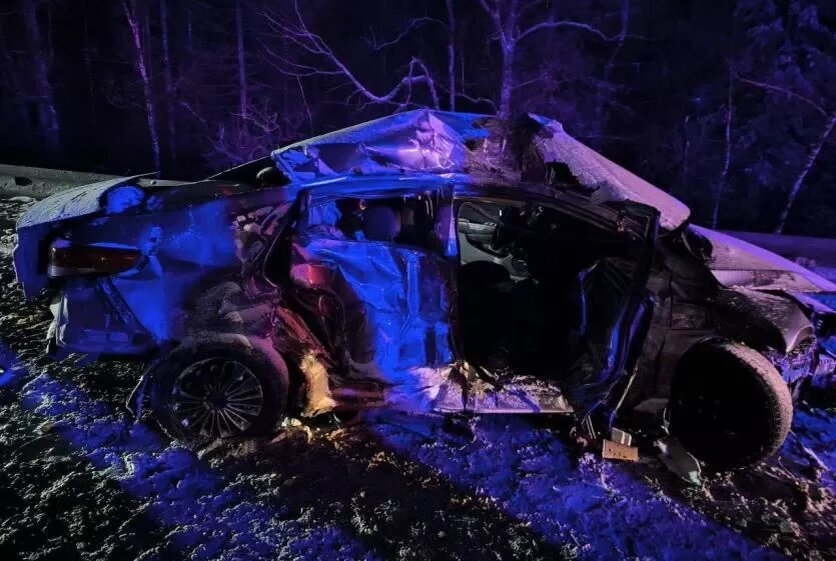 Фото: ГУ МВД России по Челябинской области