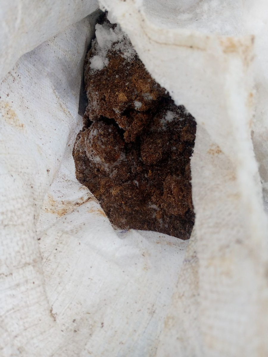 Консистенция в мешках. Внешний вид