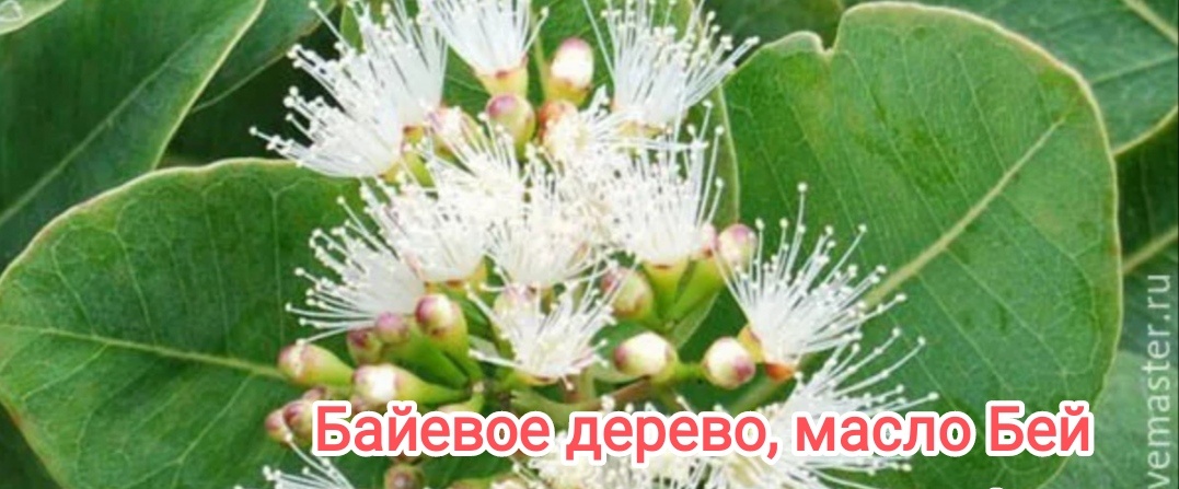 Фото из открытых источников интернета.