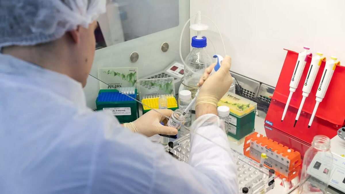     Источник: Пресс-служба администрации Волгоградской области