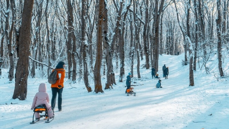 Фото: ИА «Победа26»
