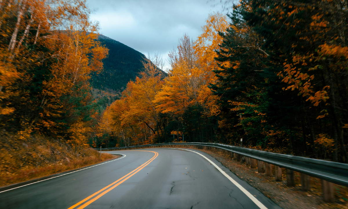 Картинка с бесплатного фотостока https://unsplash.com, автор Bryan Dickerson