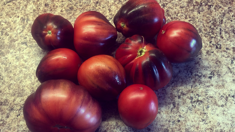 Томат Японский трюфель фиолетовый-2024 г.